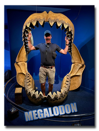 Watch Megalodon The Movie on PRIME